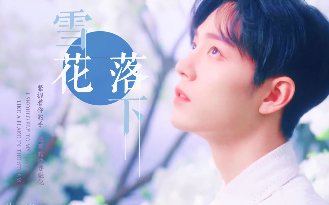 肖战个人向甜向流星雨湿润夏季听见星星的回答