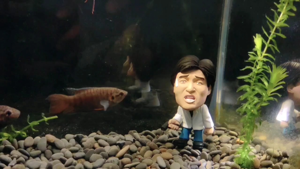 着西装打呔攞大哥电话有咩用呀