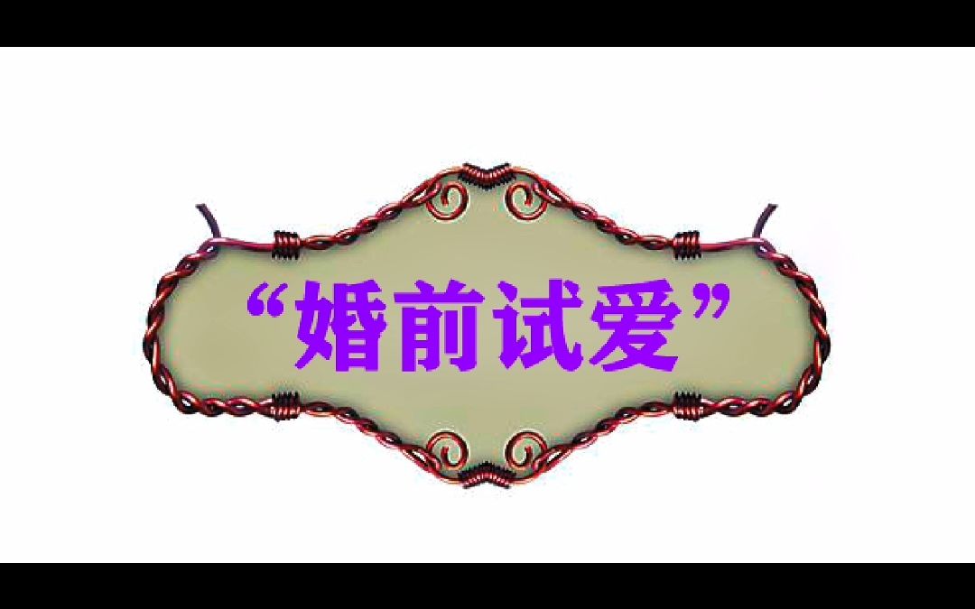 “婚前试爱”什么意思?哔哩哔哩bilibili