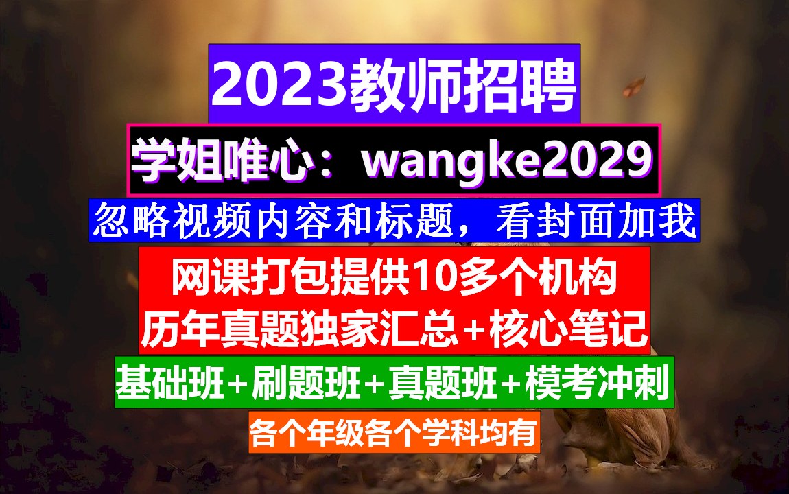 2023上海市教师招聘教育基础知识,公办小学教师招聘条件,教师考编网课哔哩哔哩bilibili