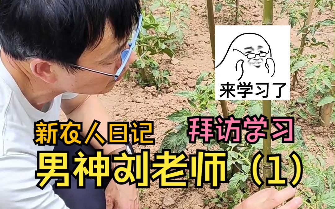 刘老师来我农场验收工作啦~之后会跟大家分享更多方法论哔哩哔哩bilibili