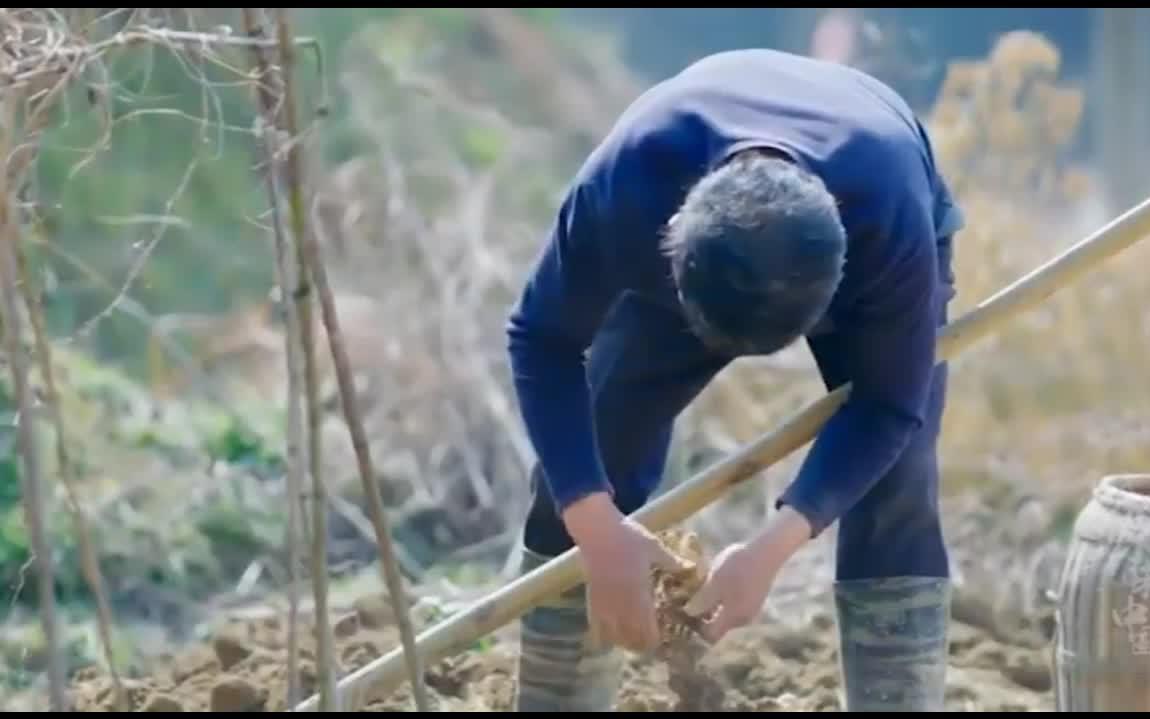 武穴佛手山药介绍短片哔哩哔哩bilibili