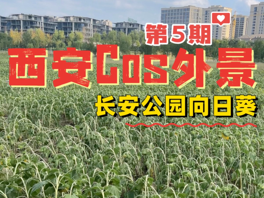 西安Cos外景第5期丨长安公园向日葵出镜:@黄油蒜香酱 #西安cos摄影 #西安cos约拍 #西安漫展哔哩哔哩bilibili