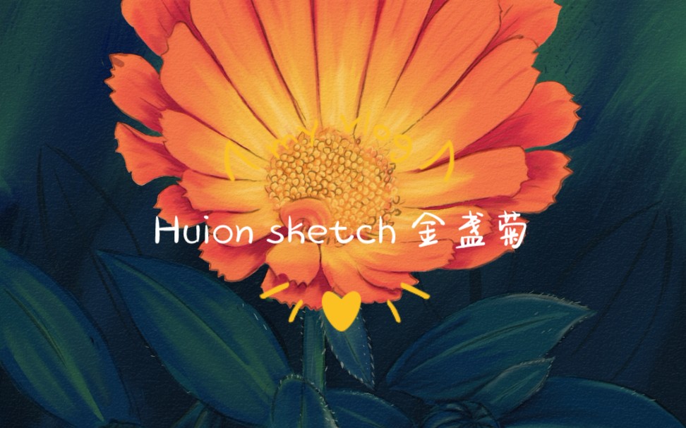 【板绘】Huion Sketch 金盏菊 分享哔哩哔哩bilibili