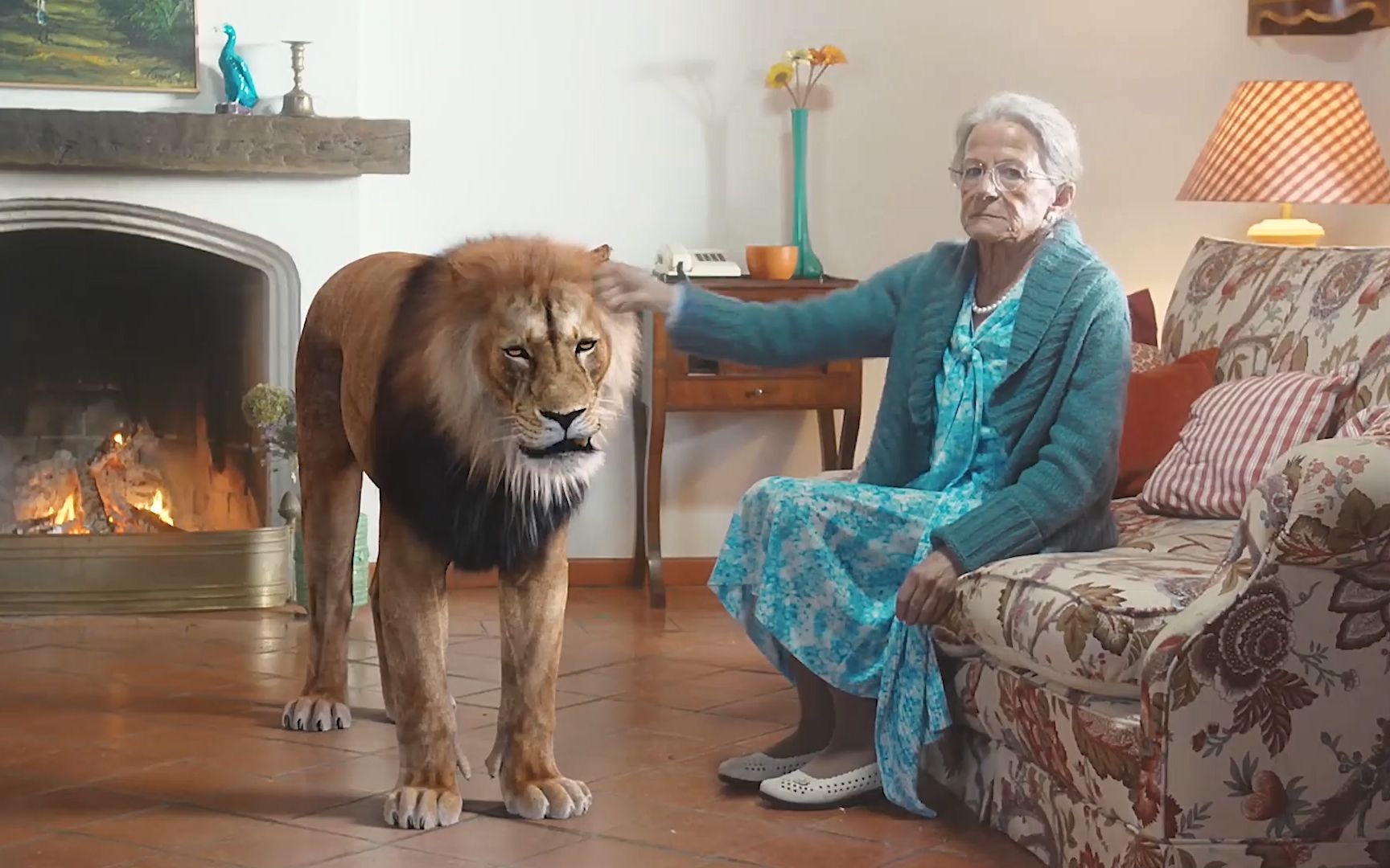 老太太胖揍狮子,狮子却根本不敢还手,搞笑短片《动物被揍》_哔哩哔哩