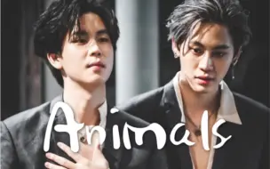 Download Video: 【BounPrem｜WinTeam】《Animals》剧情向 ｜捕获纠缠 为你上瘾｜