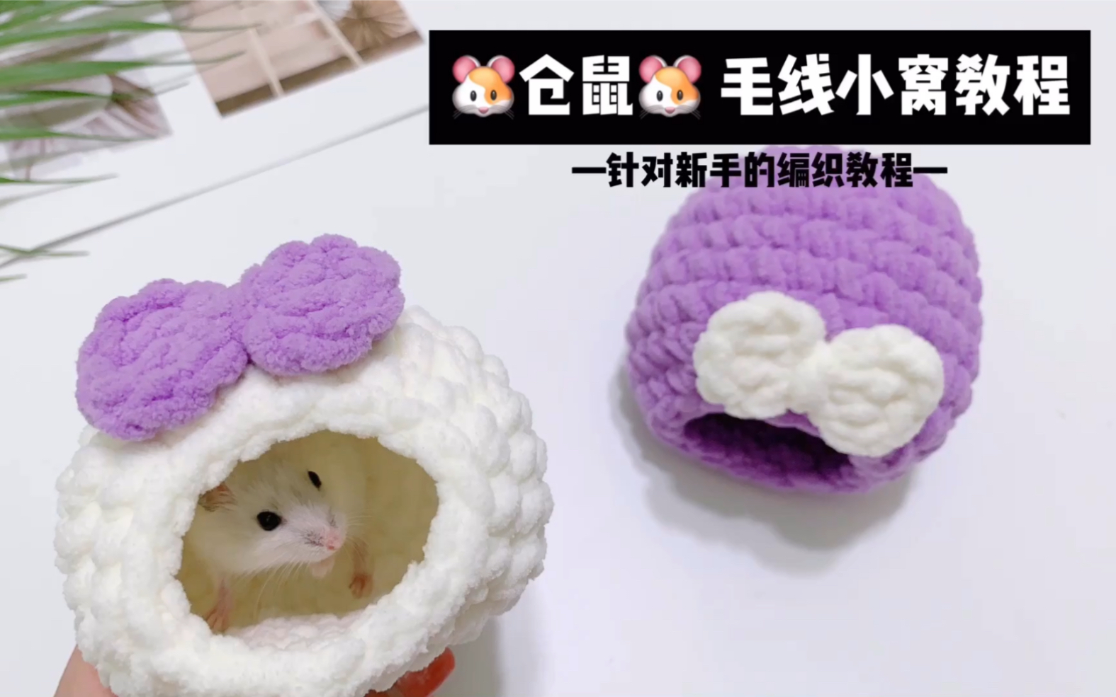 给仓鼠编织一个温暖的小窝吧!_哔哩哔哩_bilibili