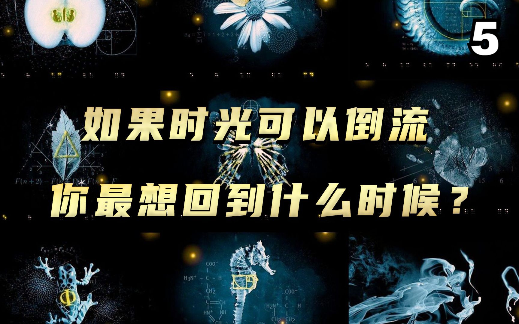 如果时光可以倒流,你最想回到什么时候?