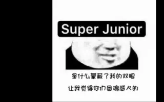 随心所欲李东海看似都对朴正洙 搜索结果 哔哩哔哩 Bilibili