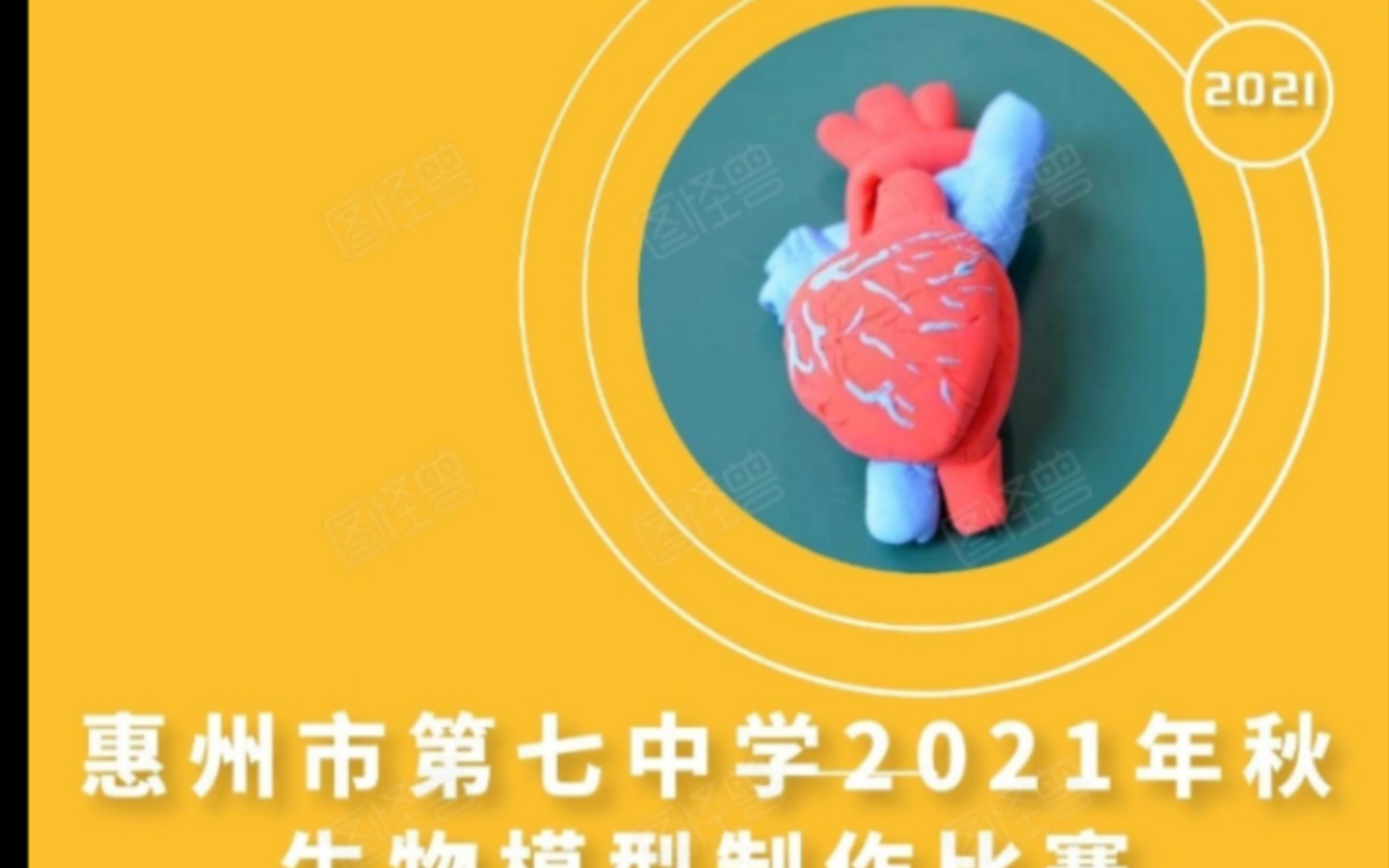 惠州市第七中学2021年秋生物模型制作比赛哔哩哔哩bilibili