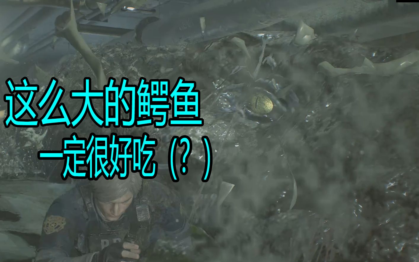 痛苦下水道的美鳄鱼生化危机二重置版第六期