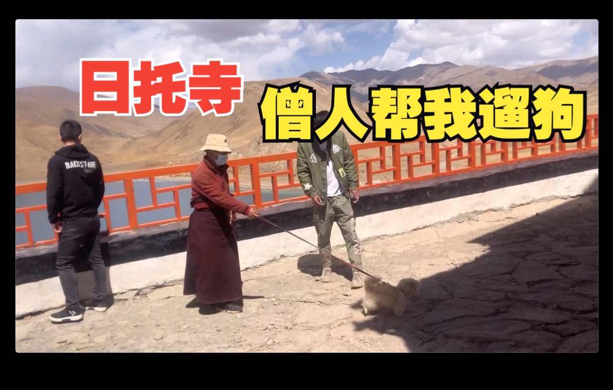 和藏族小伙伴一起我得到了世界上最孤独的寺庙日托寺的哈达