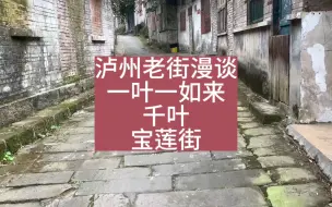 Download Video: 泸州老街漫谈，千叶开出宝莲街，沽酒客为你讲述关于它的历史