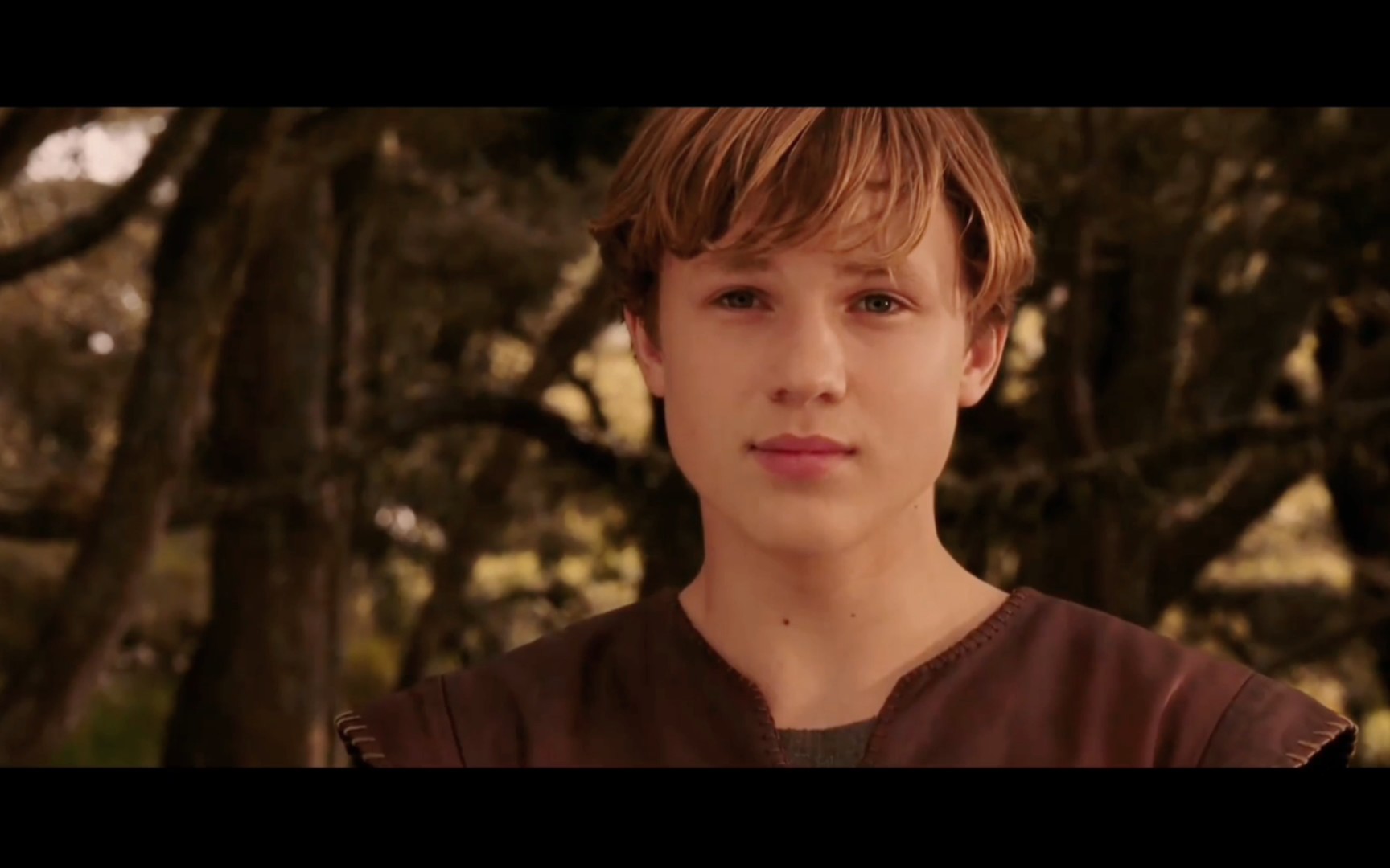 【纳尼亚传奇】彼得peter个人颜值向‖威廉·莫斯里william moseley