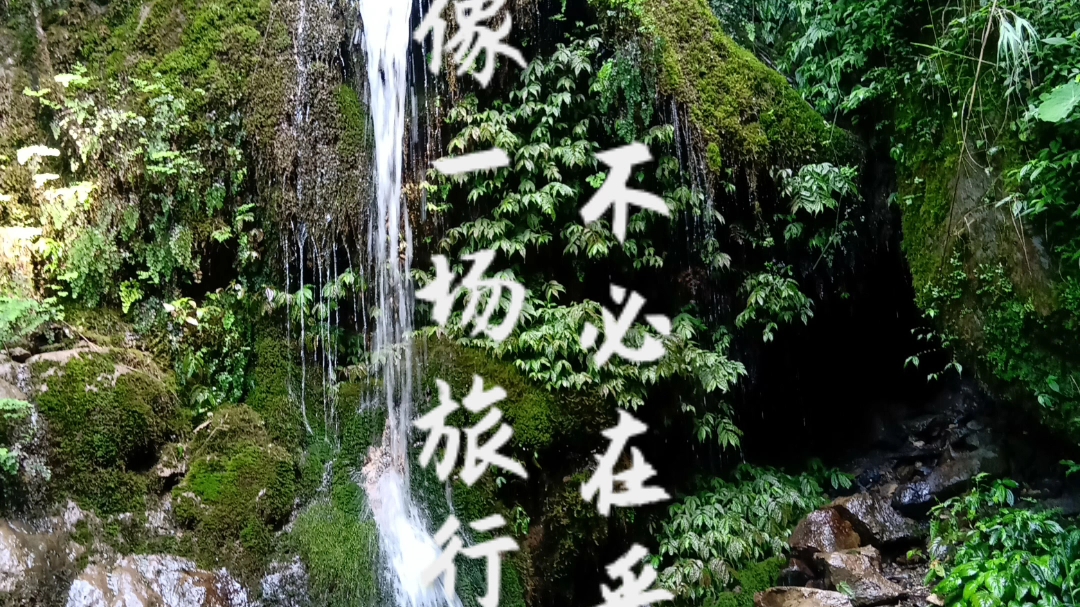 活动作品从前车马很慢