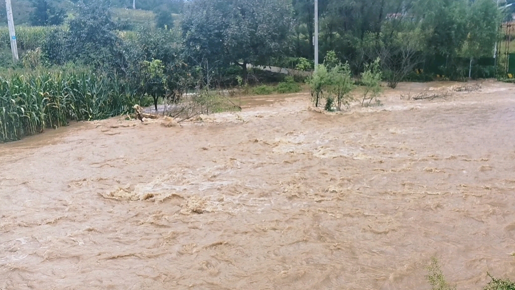 西安蓝田暴雨图片