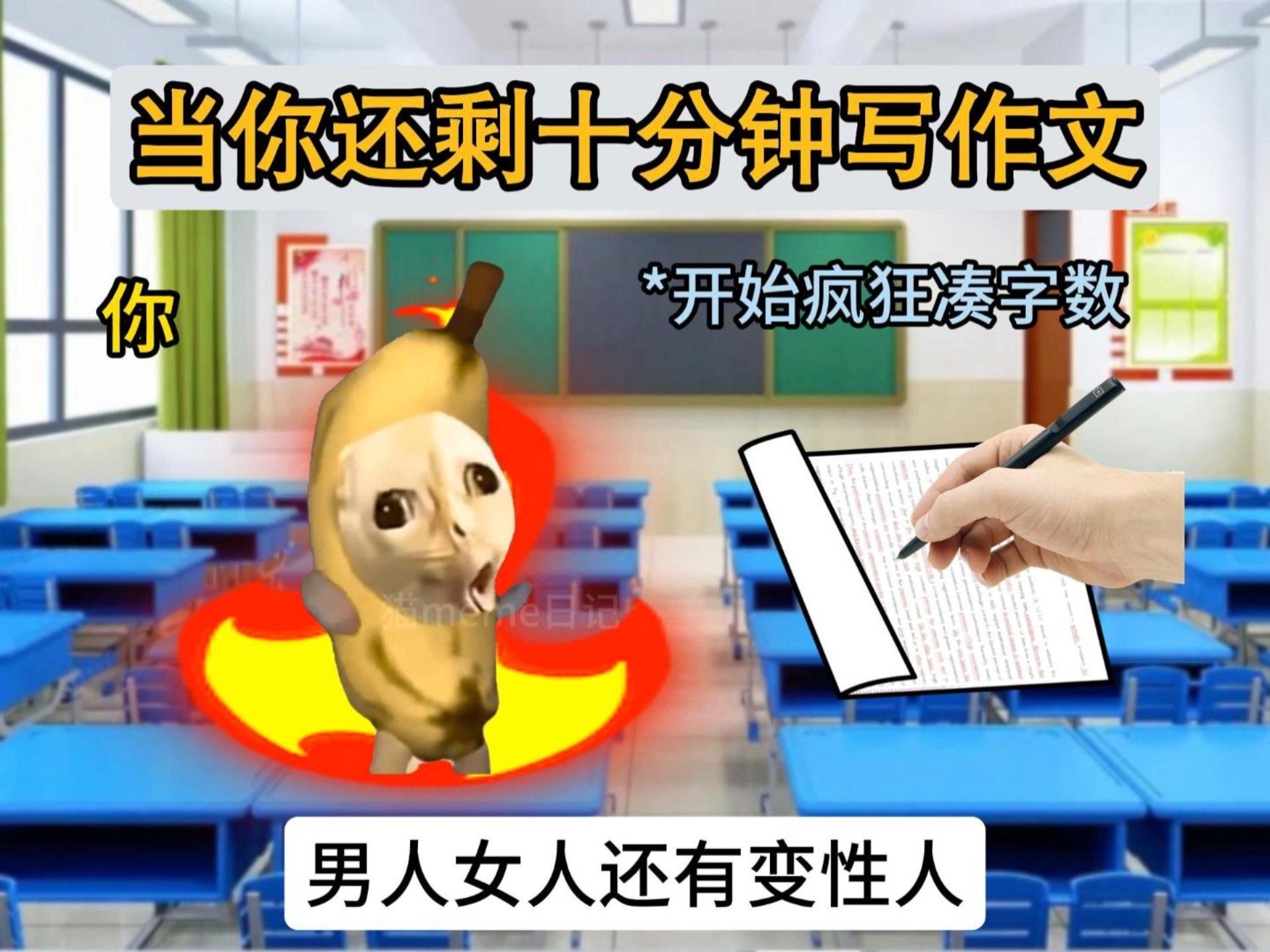 《当你还剩十分钟写作文》-猫meme日记喵-猫meme日记喵-哔哩哔哩视频