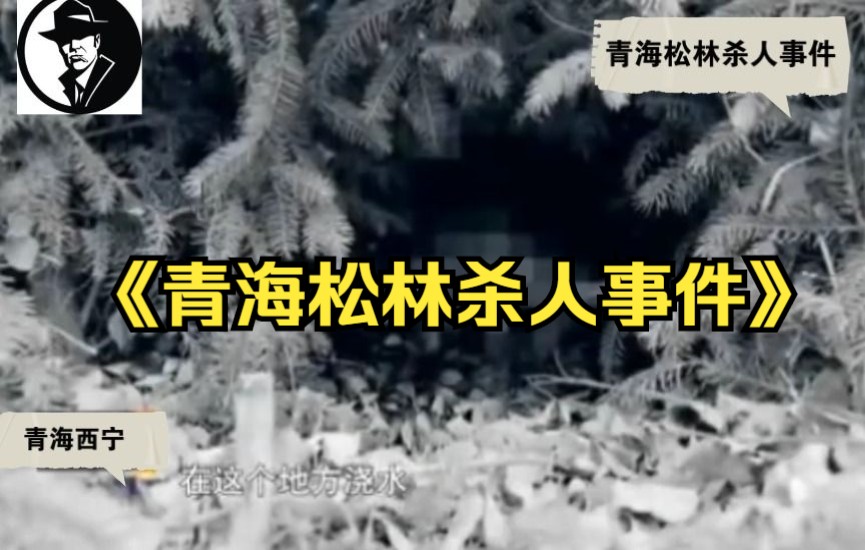 青海省西宁市湟中县《青海松林杀人事件》哔哩哔哩bilibili