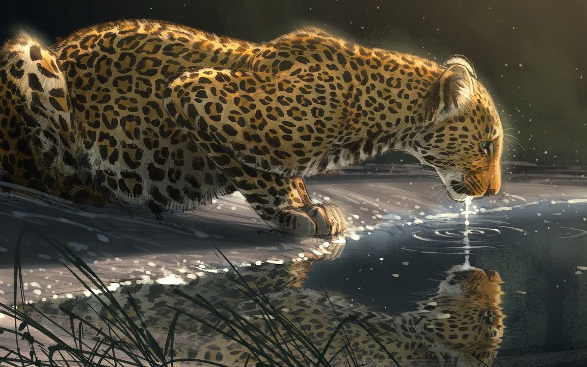 【绘画过程】奥斯卡提名动画师aaron blaise插画02-豹子:来啊,一起