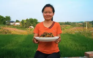 Скачать видео: 还记得小时候捉泥鳅吗，也是一身泥巴回家，做一盘麻辣泥鳅，吃上一口真过瘾