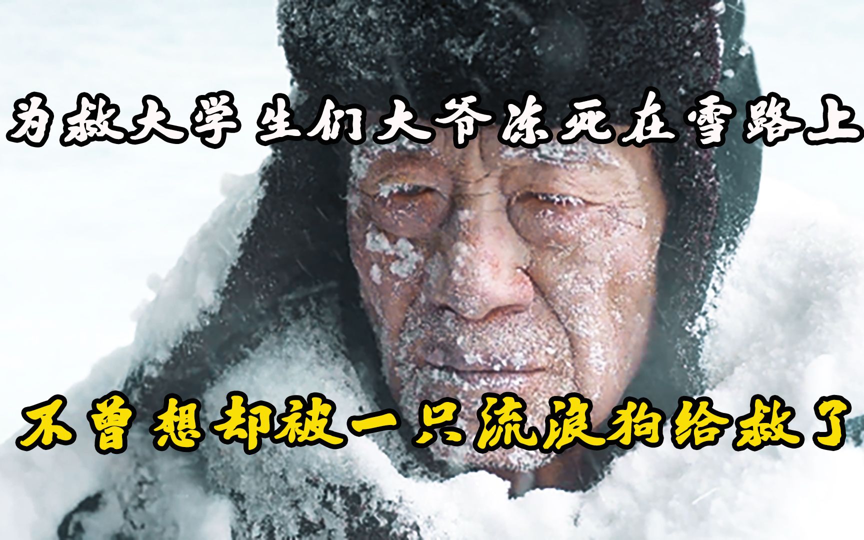 [图]为救大学生们大爷冻死在雪路上，不曾想却被一只流浪狗给救了