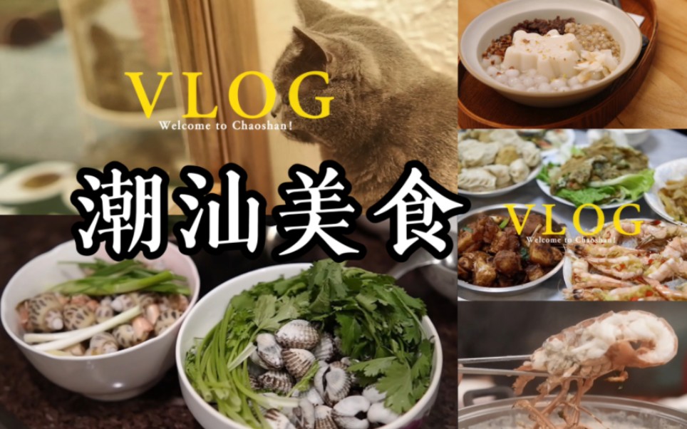 潮汕vlog|生活在潮汕,你会因为美食而感到幸福!