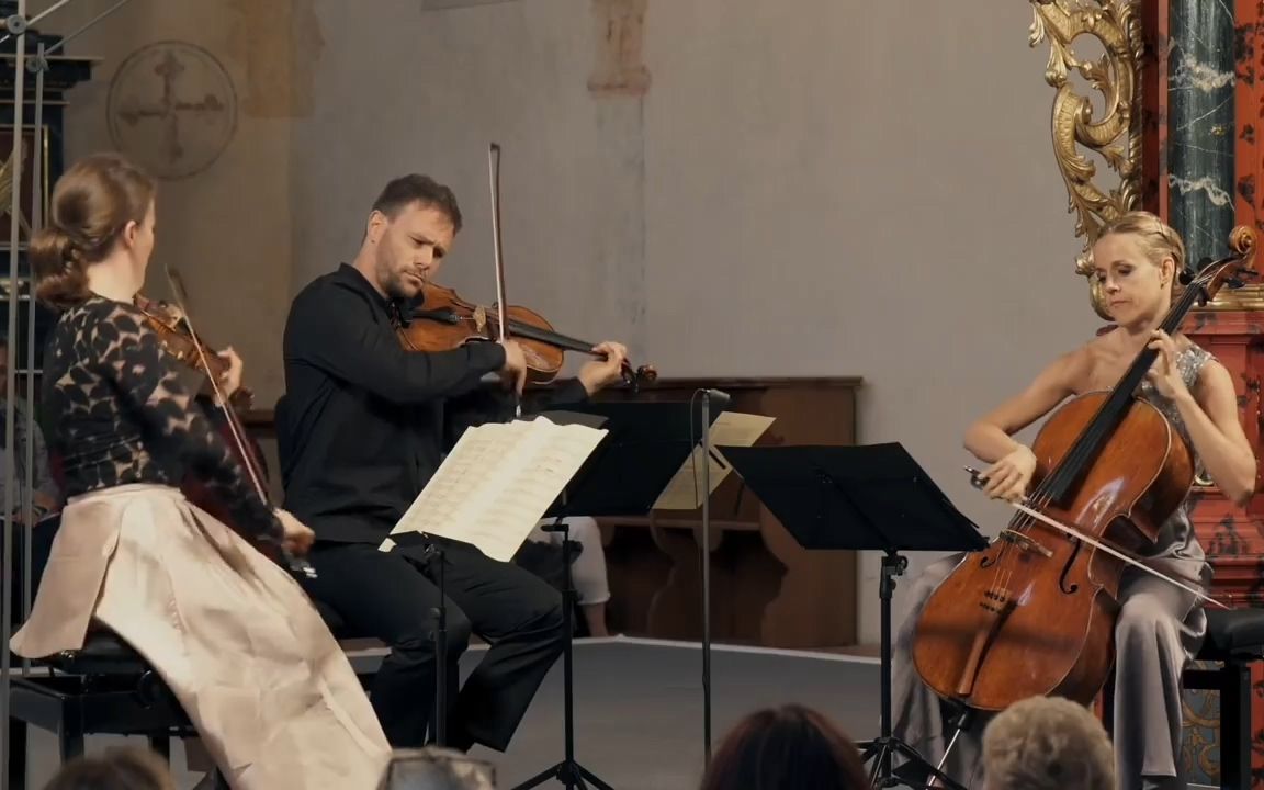 【弦乐三重奏】舒伯特 string trio d 471丨sol gabetta