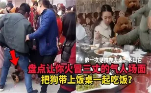 Download Video: 让你火冒三丈的气人场面，让狗上饭桌吃饭，七个男人殴打三个女人