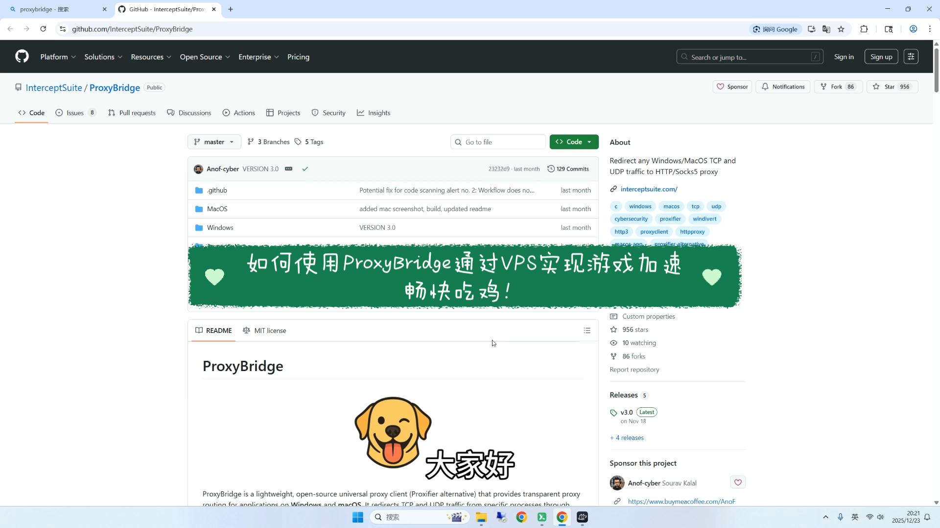 如何用ProxyBridge通过VPS实现游戏加速,畅快吃鸡