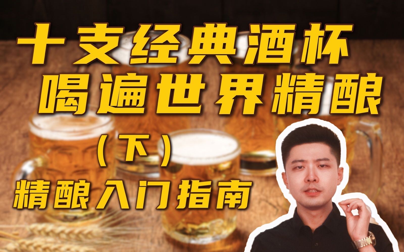 十支经典酒杯,喝遍世界精酿(下)精酿啤酒入门指南【酒精单位】哔哩哔哩bilibili