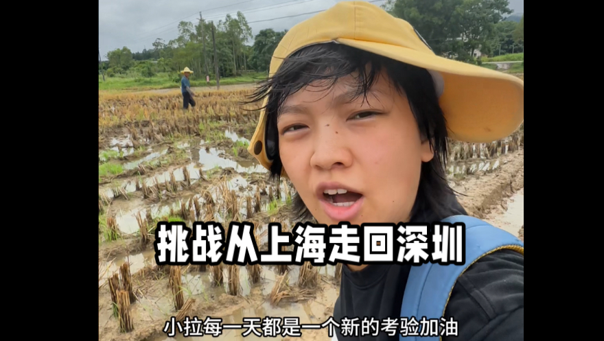 挑战从上海走回深圳，不小心走到别人家牧场去了海报