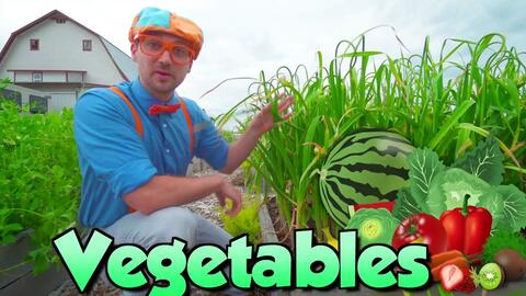 Blippi Learns Vegetables at Jumping Beans Indoor Playground _ Educational  Videos-哔哩哔哩