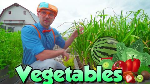 Blippi Learns Vegetables at Jumping Beans Indoor Playground _ Educational Videos-ๅๅฉๅๅฉ Blippi Learns Vegetables at Jumping Beans Indoor Playground _ Educational Videos-ๅๅฉๅๅฉ