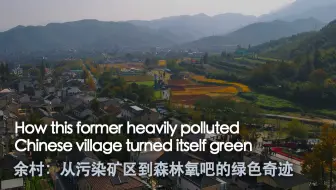余村：从污染矿区到森林氧吧的绿色奇迹