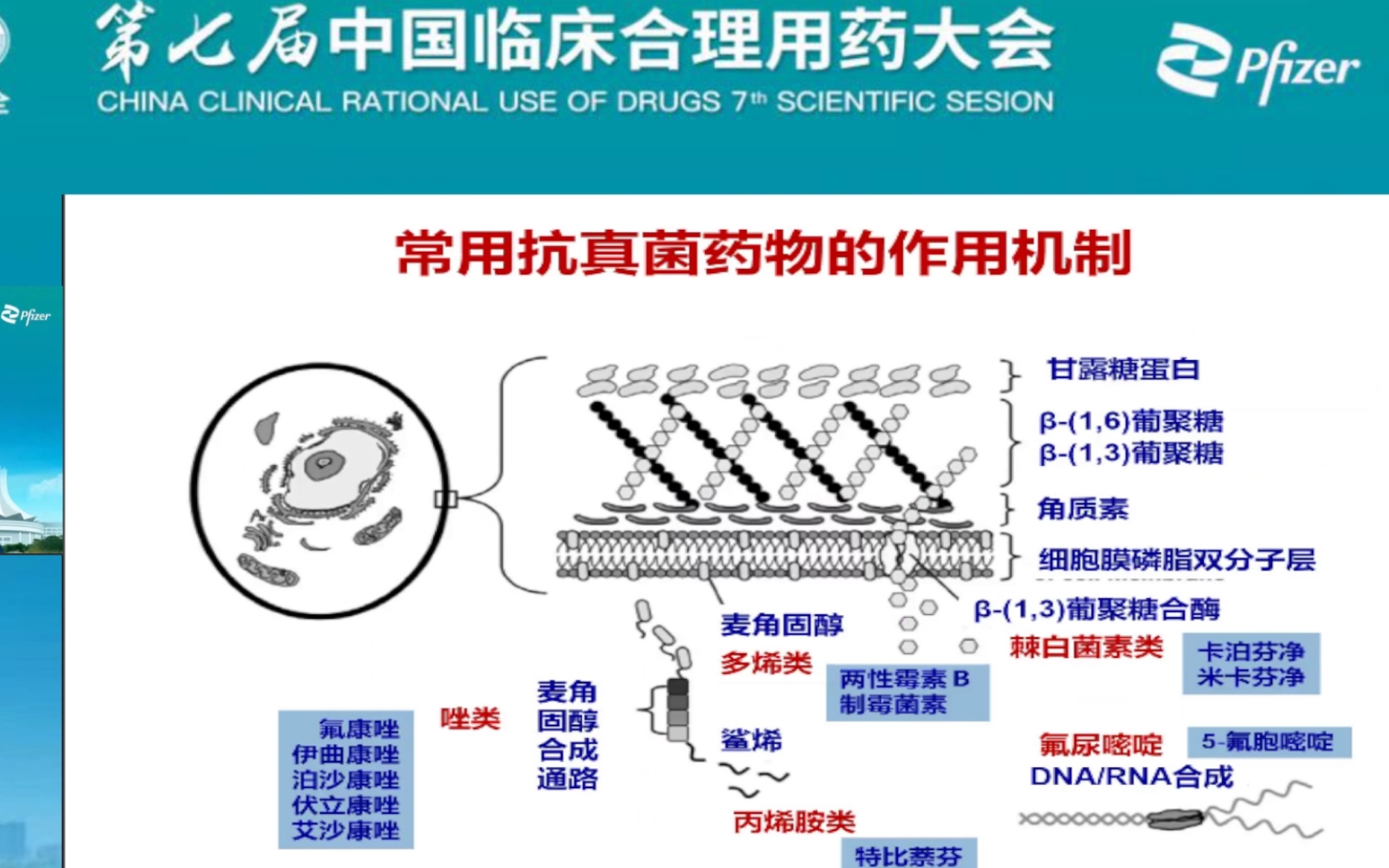 [图]第七届中国临床合理用药大会-临床微生物的抗感染治疗