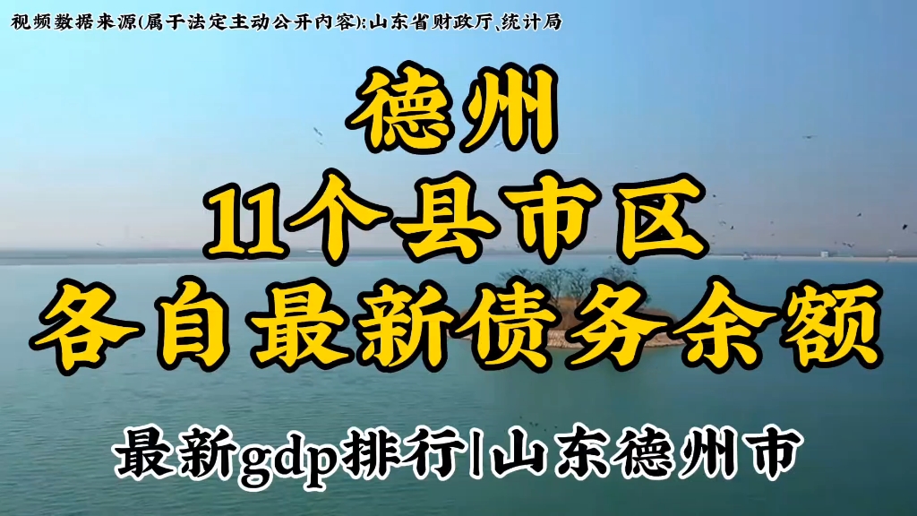 山东德州市下辖11个县市区最新债务余额以及各自gdp排行.发掘城市数据,洞察别样德州哔哩哔哩bilibili