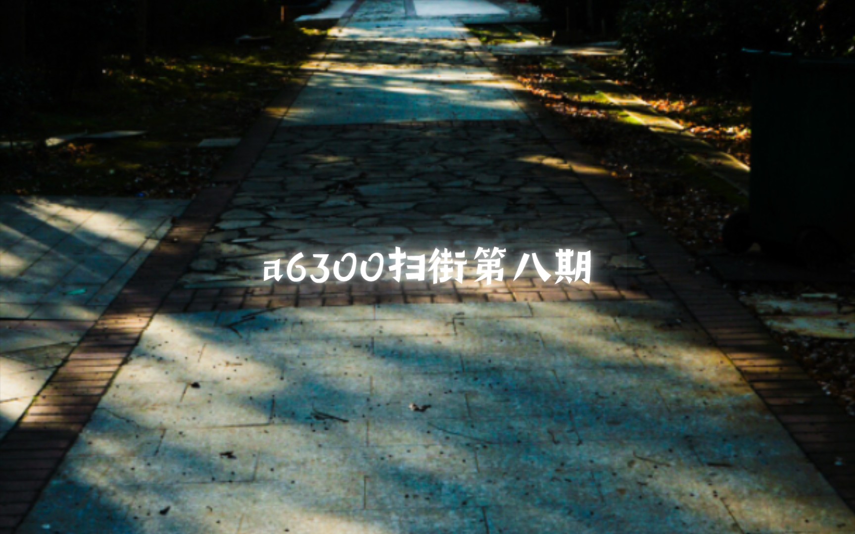 a6300扫街第八期 a6300 fe2870