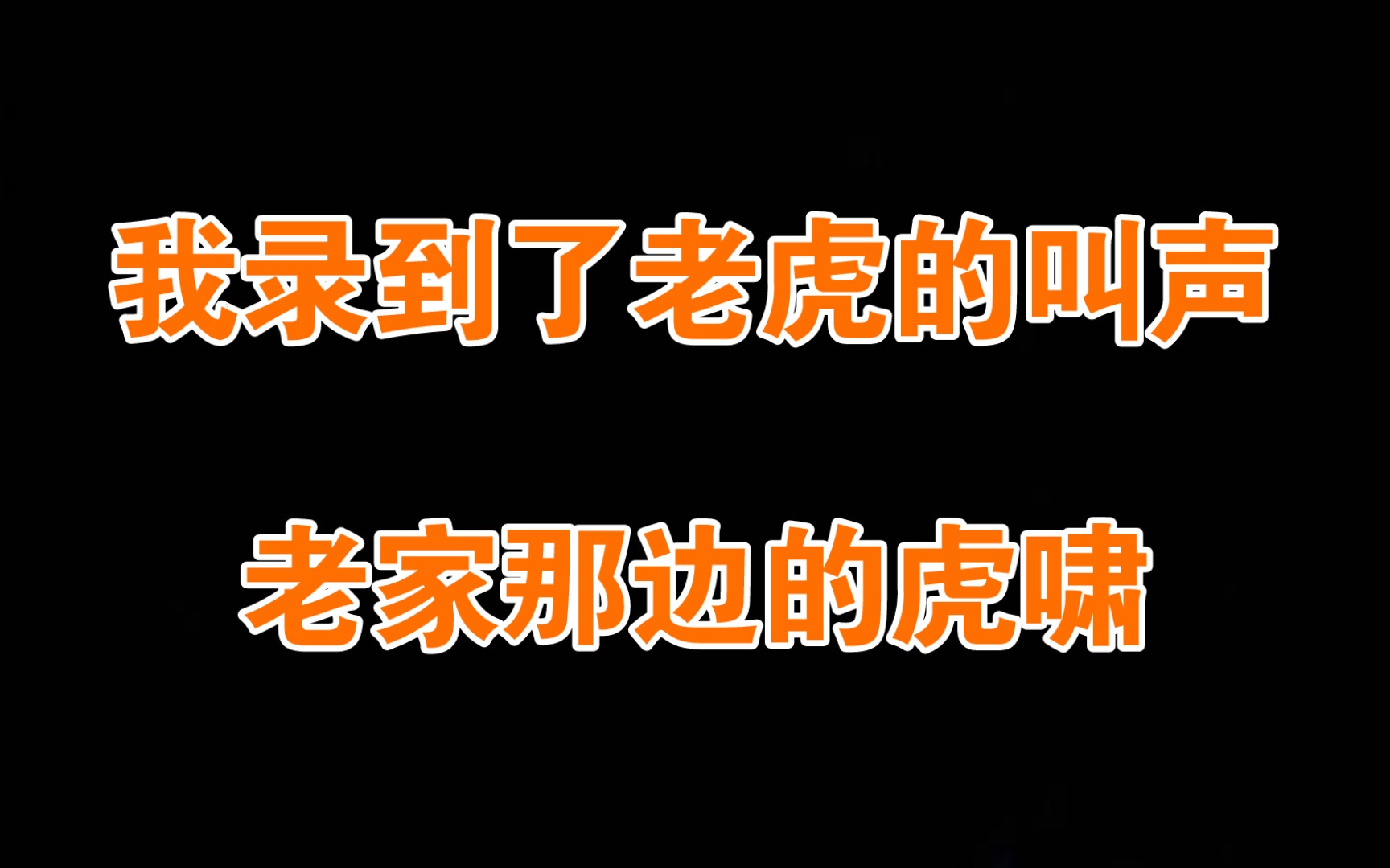 [图]公开我曾经录到的虎啸，当时离我不到500米