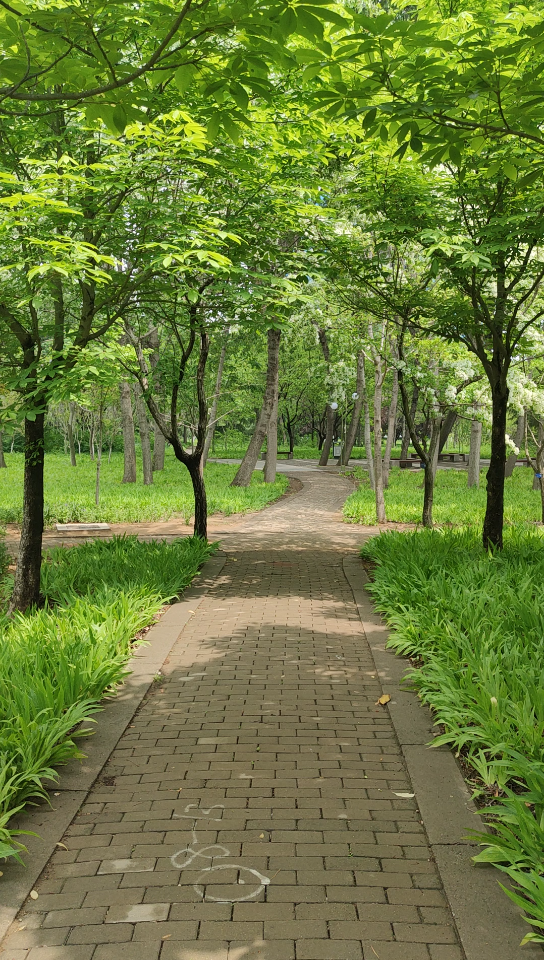 校园里的幽静小路