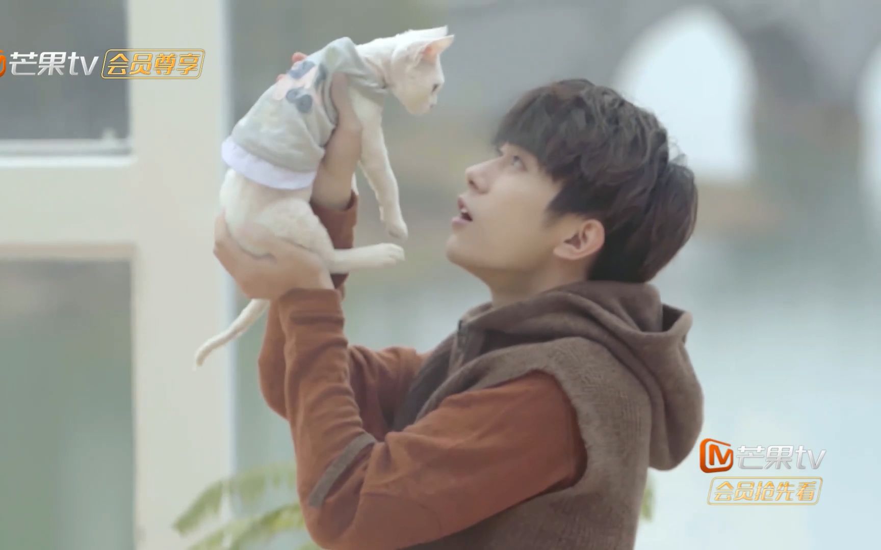 活动作品易烊千玺猫になりたい想要变成猫