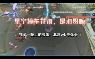 Télécharger la video: 星宇撞车花海，是海哥嘛，答案说明所有，喊了一晚上的夸张，北京wb夸张哥