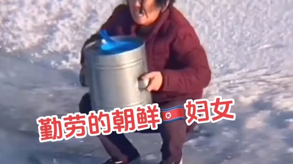 向晚tv之顶碗人