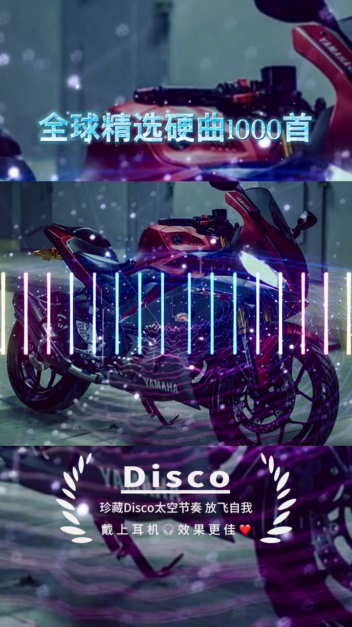 wilddances珍藏经典disco慢摇舞曲disco跟着