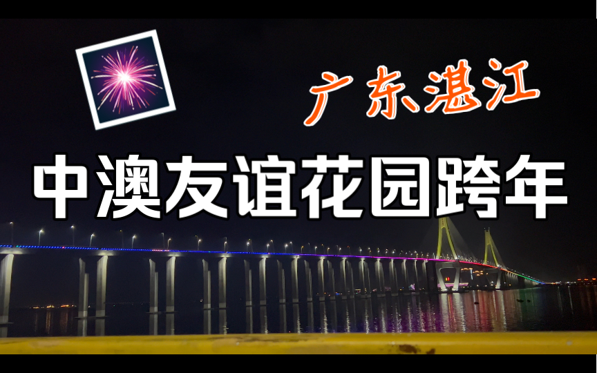 【湛江Vlog】跨过琼州海峡来到湛江 感受浓浓新年气氛哔哩哔哩bilibili