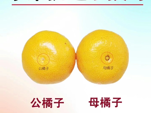 【瓶子d_】最新视频来袭,快来看看吧!