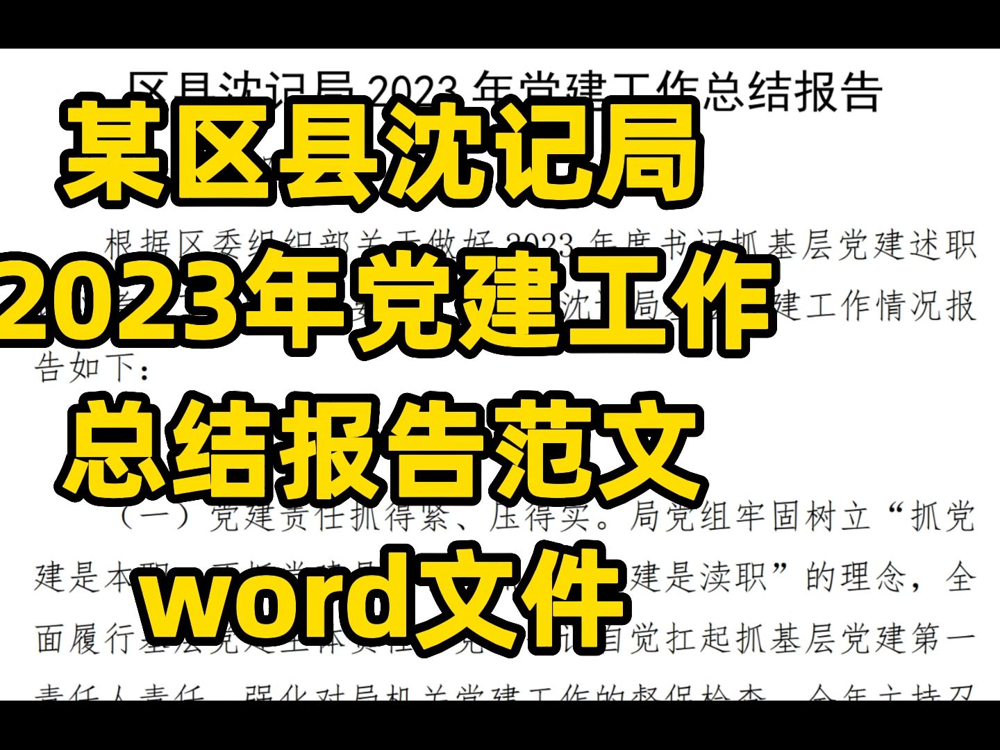 某区县沈记局 2023年党建工作 总结报告范文 word文件哔哩哔哩bilibili