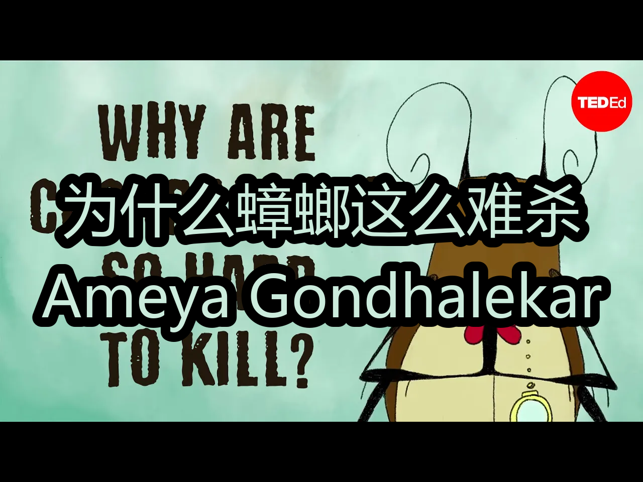 【中配】为什么蟑螂这么难杀:Ameya Gondhalekar  TEDEd哔哩哔哩bilibili