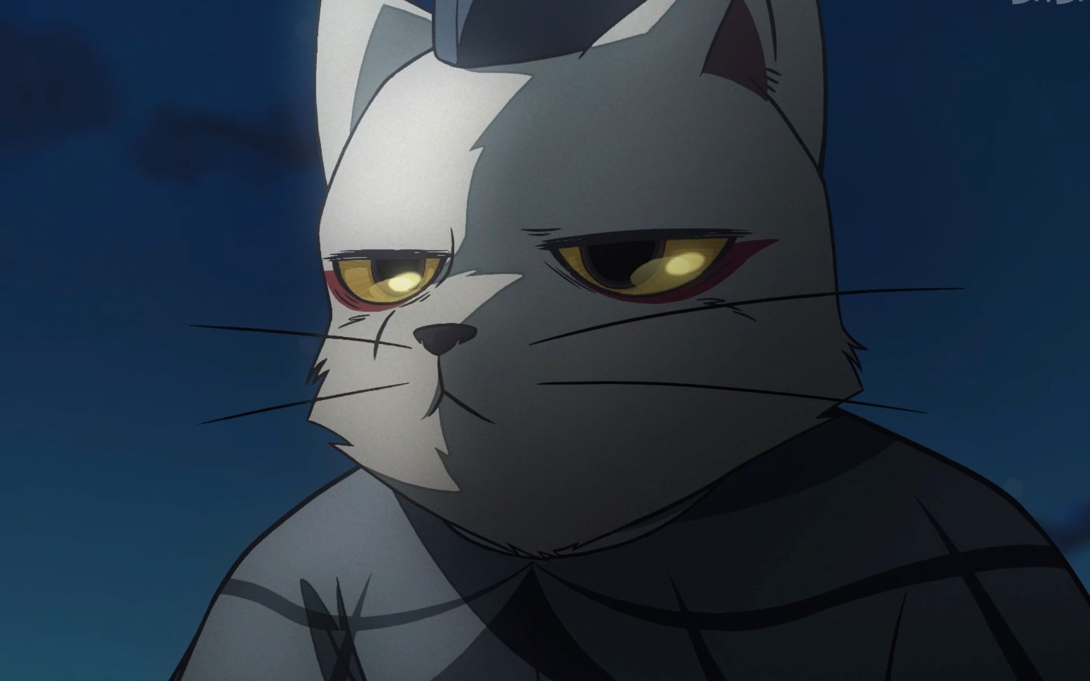 大理寺日志10话猫爷花花怎么还不来我困了