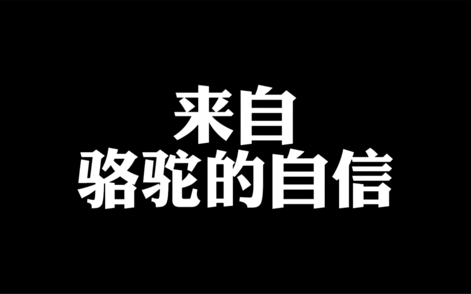 骆驼的底气来自哪里?哔哩哔哩bilibili