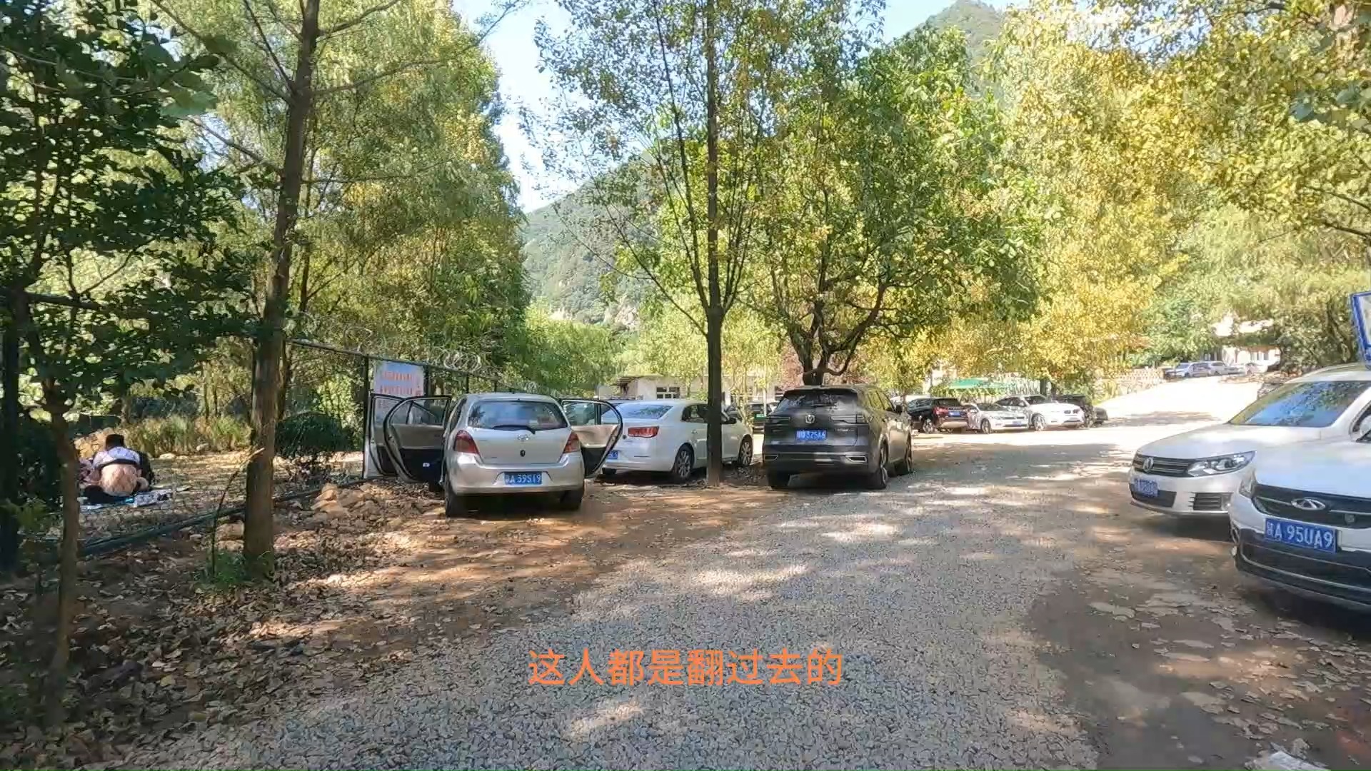 三伏天入秦岭避暑纳凉进山第一站“立元坪”人满车多原始风景依然哔哩哔哩bilibili